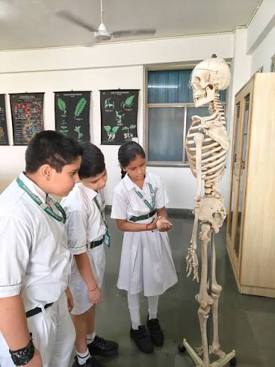 जीव विज्ञान प्रयोगशाला